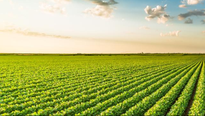 Farm Land Boundary - Hyderabad Real Estate